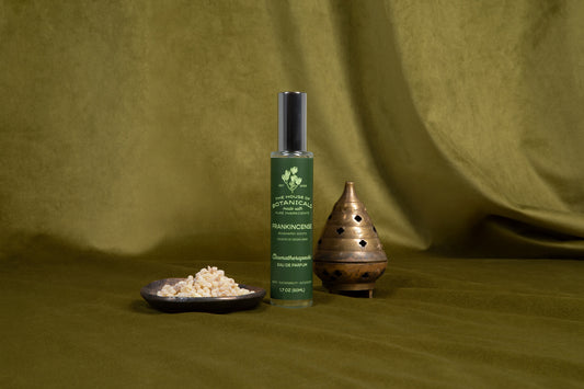 Frankincense aromatherapeutic ritual spray bottle styled with botanicals in natural light
