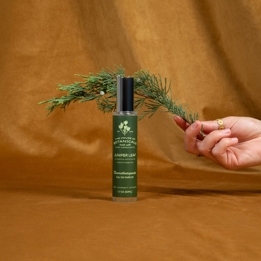 Juniper Leaf ritual spray with a hand holding a sprig of juniper on an amber backdrop