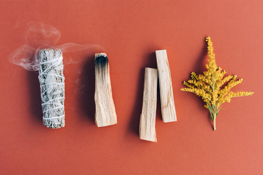 White Sage: Benefits, Cleansing & Ethical Sourcing