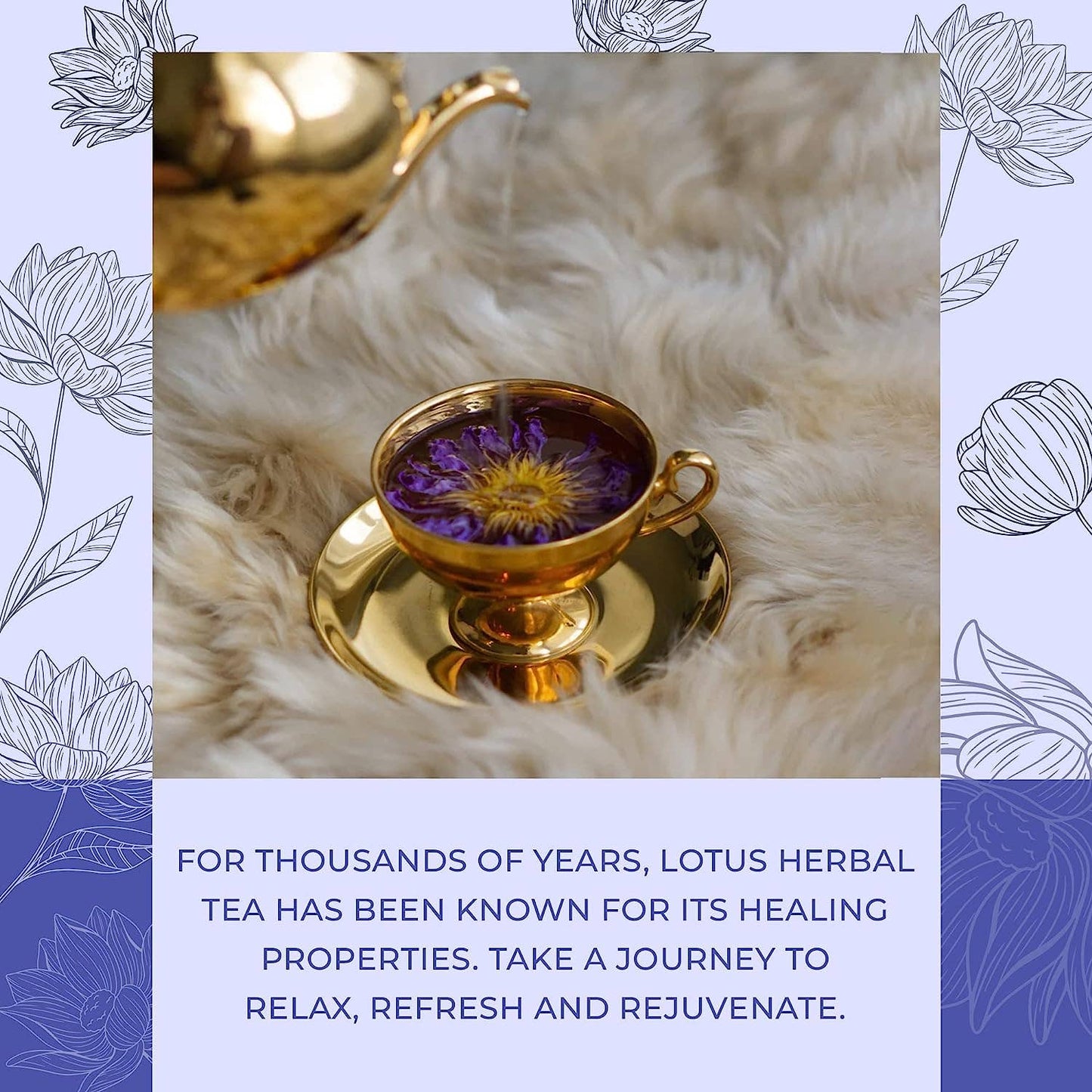 Organic Lotus Whole Flower - The House of Botanicals