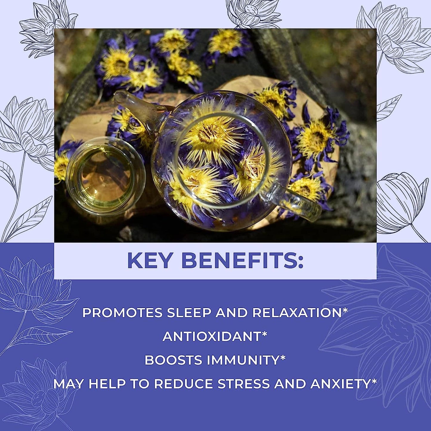 Organic Lotus Whole Flower - The House of Botanicals