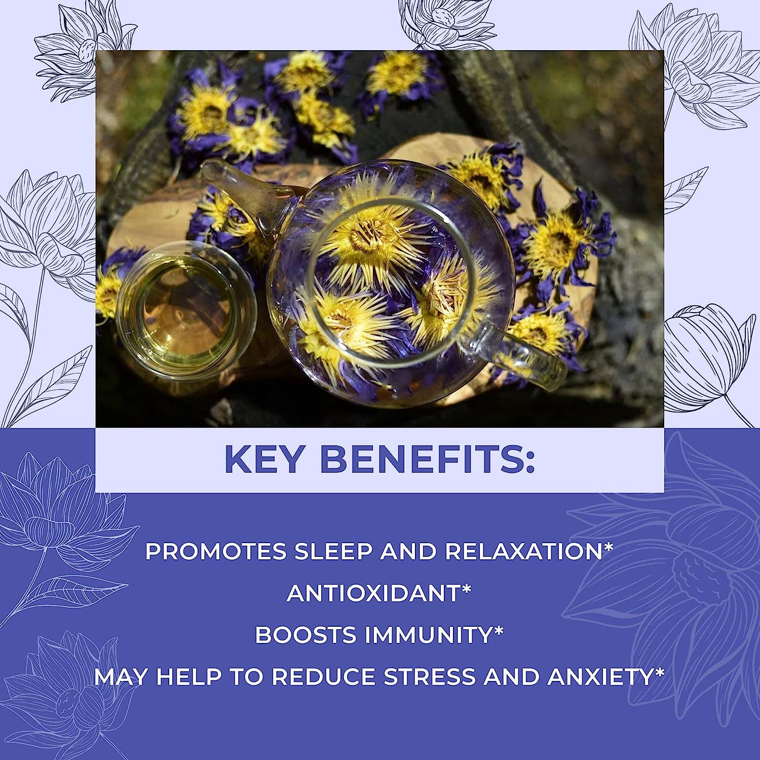 Organic Lotus Whole Flower - The House of Botanicals