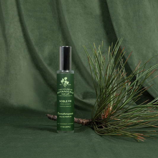 Noble Fir ritual spray beside a fresh evergreen bough on a green backdrop